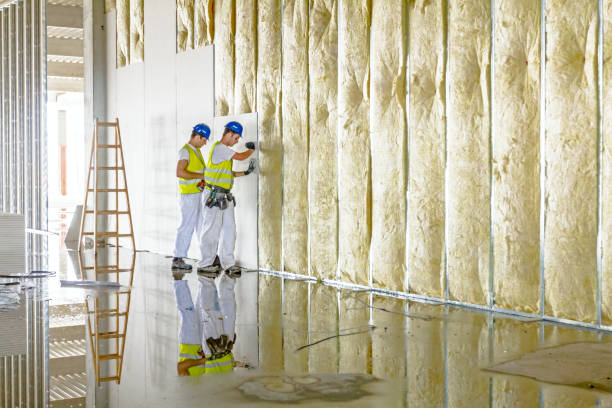 Best Geographic-Specific Insulation Services in Palermo, CA